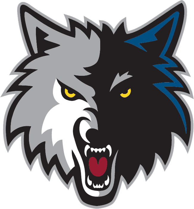 Minnesota Timberwolves 2008-2016 Alternate Logo 2 iron on paper